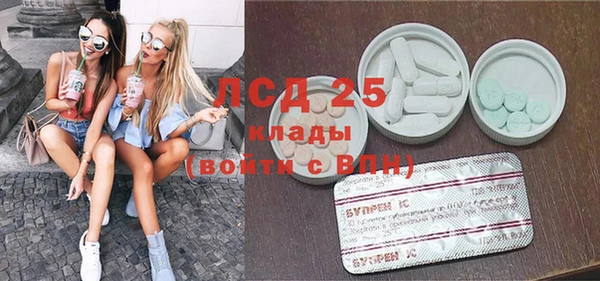 ПСИЛОЦИБИНОВЫЕ ГРИБЫ Вяземский