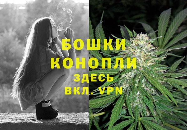 ПСИЛОЦИБИНОВЫЕ ГРИБЫ Вяземский