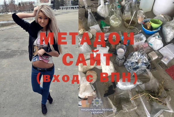 ПСИЛОЦИБИНОВЫЕ ГРИБЫ Вяземский