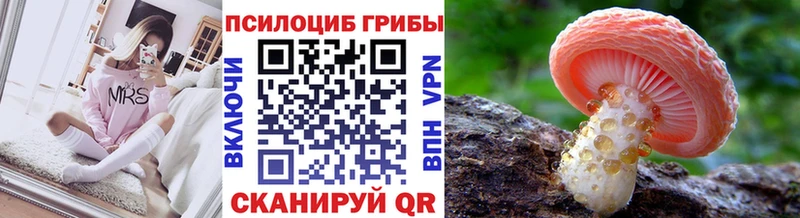 Галлюциногенные грибы Psilocybine cubensis  Ишим 